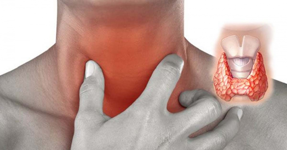 анализ крови на гормоны щитовидной железы подготовка